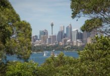 Sydney suburban office market continues to grow Sydney offica space