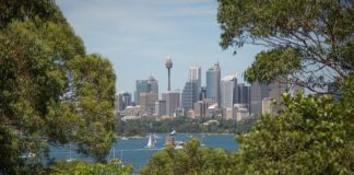 Sydney suburban office market continues to grow Sydney offica space