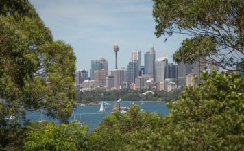 Sydney suburban office market continues to grow Sydney offica space