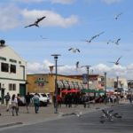 Starboard Commercial Real Estate secures long-term lease for Arthur Murray Dance Studios Starboard Commercial Real Estate secures long-term lease for Arthur Murray Dance Studios in Monterey CA