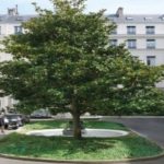 BNP Paribas REIM acquires Square d’Orléans in Paris BNP Paribas REIM acquires Square d'Orléans in Paris