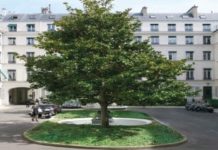 BNP Paribas REIM acquires Square d’Orléans in Paris BNP Paribas REIM acquires Square d'Orléans in Paris