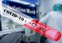 Coronavirus impact on imports expected to be larger and last longer than previously expected Coronavirus impact on imports expected to be larger and last longer than previously expected