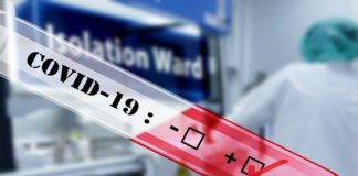 Coronavirus impact on imports expected to be larger and last longer than previously expected Coronavirus impact on imports expected to be larger and last longer than previously expected