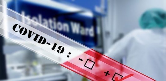 Coronavirus impact on imports expected to be larger and last longer than previously expected Coronavirus impact on imports expected to be larger and last longer than previously expected