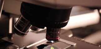 Life sciences campus in Cambridge, Massachusetts sells for $720m Life sciences campus in Cambridge, Massachusetts sells for $720m