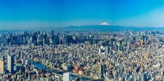 Allianz fund pays $90m for multi-family residential portfolio in Tokyo