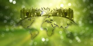CBRE acquires ESG consulting firm in France CBRE acquires ESG consulting firm in France