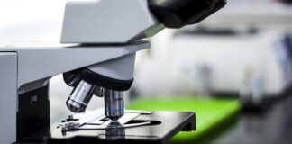 UBS AM launches UK life sciences property strategy UBS AM launches UK life sciences property strategy