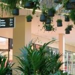 CBRE acquires retail consulting firm in Germany CBRE acquires retail consulting firm in Germany