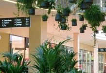 CBRE acquires retail consulting firm in Germany CBRE acquires retail consulting firm in Germany