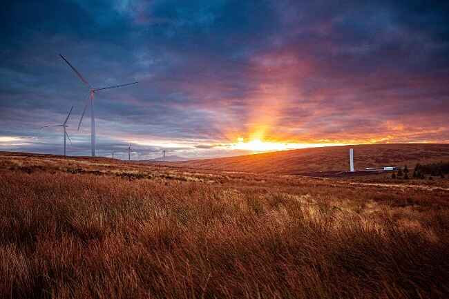 Brookfield to acquire Banks Group's renewable business