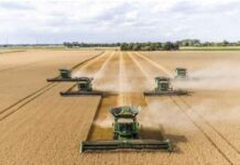 Royal London makes first natural capital investment Royal London makes first natural capital investment