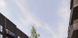 Nrep to build lowest carbon timber building in Denmark