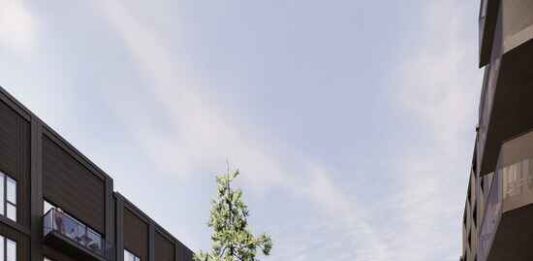 Nrep to build lowest carbon timber building in Denmark