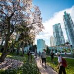 Global real estate outlook 2025: Cautious optimism amid political and economic uncertainty