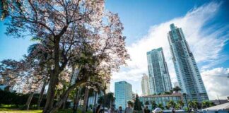 Global real estate outlook 2025: Cautious optimism amid political and economic uncertainty