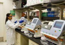 China leads global life sciences lab construction amid rapid market growth China leads global life sciences lab construction amid rapid market growth