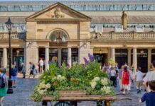 Shaftesbury reports 3.1% portfolio valuation growth in H1 2025 Shaftesbury reports 3.1% portfolio valuation growth in H1 2025