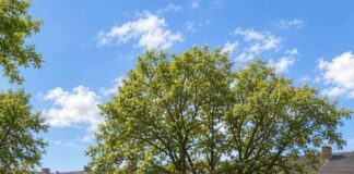 Empira completes acquisition of 875-apartment Bärenpark estate in Berlin Empira completes acquisition of 875-apartment Bärenpark estate in Berlin